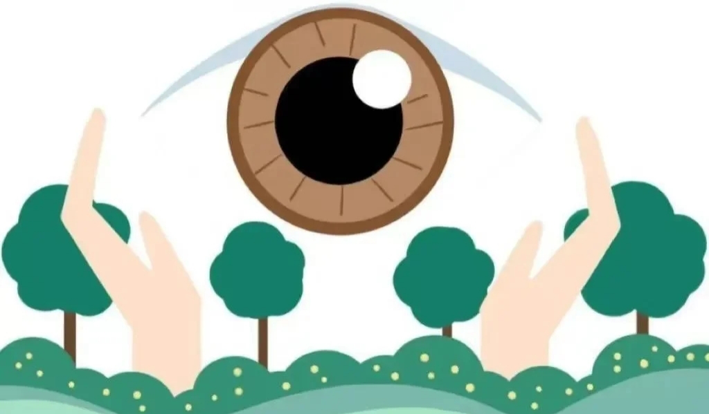 微信图片_20250508093626